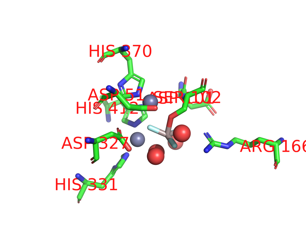 Aluminium binding site 1 out of 2 in 1kh5 Aluminium binding site 1 out of 2 in 1kh5